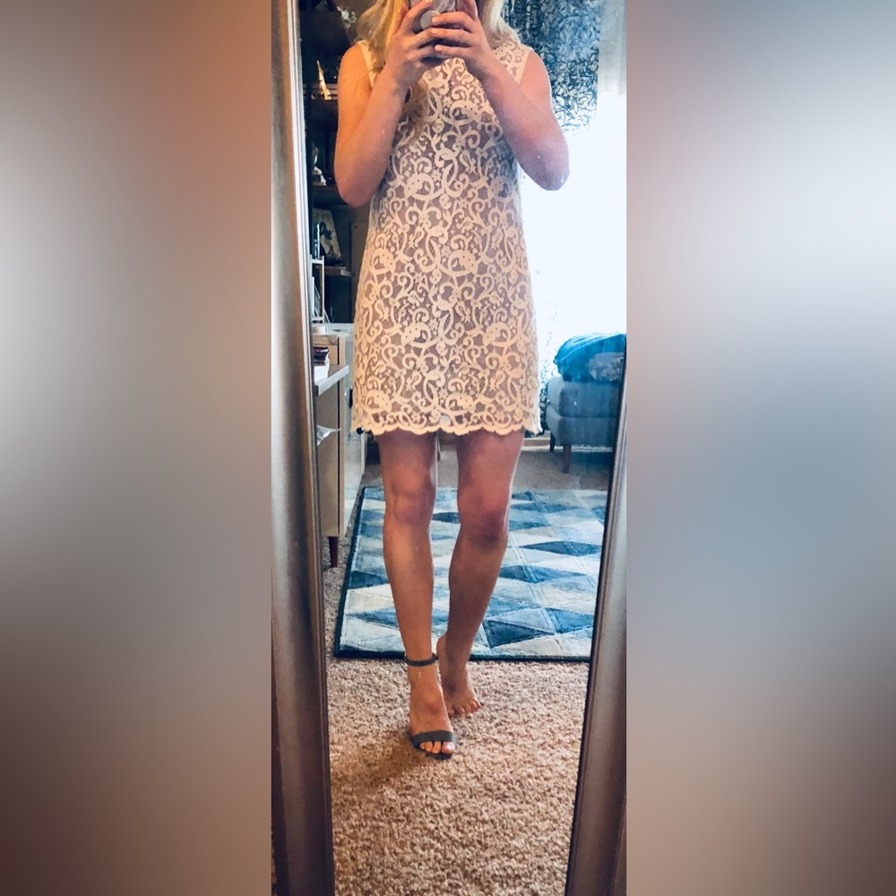 Ann Taylor Loft Lace mini shift dress ivory and beige Sz 4